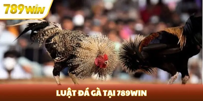 luật đá gà tại 789win